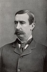 亨利-雷德弗斯-布勒（1839-1908 年），英国士兵，生于德文郡 Crediton 作者 未知的摄影师