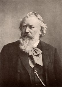 约翰内斯-勃拉姆斯（1833-1897） 作者 未知的摄影师