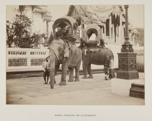 Photograph in photograph album 作者 未知的摄影师