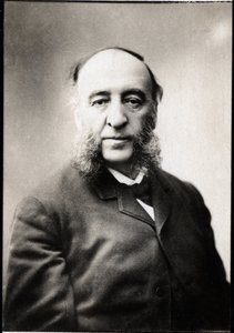儒勒-费里（1832-1893）的肖像，法国政治家。 作者 未知的摄影师