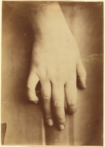 手的研究，1865 年（照片） 作者 未知的摄影师