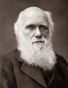 英国自然学家查尔斯-罗伯特-达尔文（1809-1882）。 作者 未知的摄影师