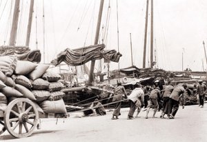 1880年左右的香港港口。 作者 未知的摄影师