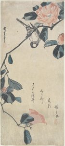 （山茶花鸟），19世纪初