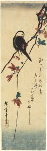 （Bird on Maple Branch），1830-1858