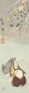 （菊花和鸳鸯），1854年2月