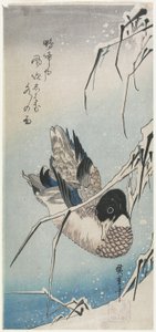 （鸭子和雪域芦苇），19世纪30年代初