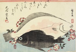 （侥幸和黑鲈，樱花）