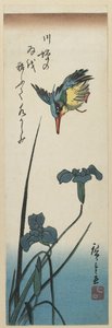 （Iris和Kingfisher），1843-1847