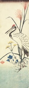 （潘帕斯草，Patrinia，中国风铃草和鹤），1830-1858