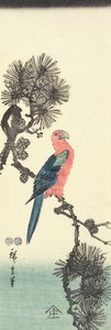 （松树上的鹦鹉），1847-1852