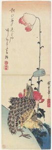（鹌鹑和罂粟），1830-1858