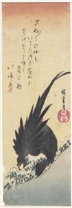 （公鸡），19世纪初