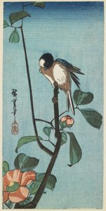 （喀麦莉山雀），1830-1858