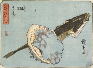 鲍鱼和扁平头，1830-1844
