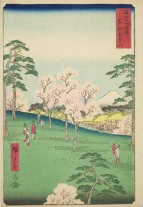 东都飞鸟山（东都飞鸟山），选自 "富士山三十六景 "系列 作者 歌川宏重