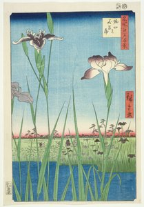 BM.Cat.440在Horikin的鸢尾花，“江户100景”系列中的第56号，（&39;Meisho Edo hyakkei&39;），酒吧1857年，（彩色木版画）