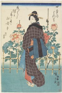 牡丹园的美，1847-1852