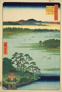 弁天神社和猪鹿池，选自 "江户百景（名所江户百景）"系列 作者 歌川宏重