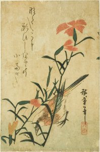 鸟和野生康乃馨 作者 歌川宏重