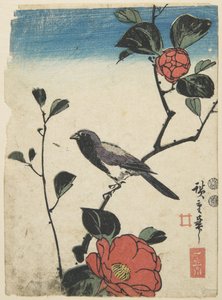 樱桃树上的鸟，1847-1852