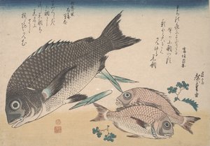 黑海鲷，小鲷鱼，芦笋笋和Sansho Pepper，1830