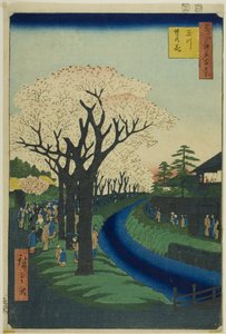 多摩川堤岸上的花朵（玉川堤岸之花），选自 "江户百景（名所江户百景）"系列 作者 Utagawa Hiroshige