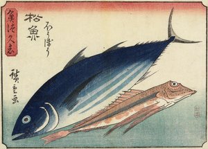 Bonito和Gurnard，1830-1844