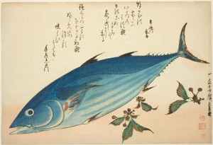 鲣鱼和虎耳草，选自无标题鱼类系列 作者 歌川宏重