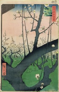 开花梅花树的分支（彩色木版画）