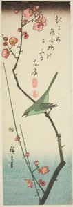 梅枝上的丛林莺 作者 歌川宏重