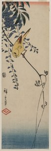 金丝雀和紫藤 作者 歌川宏重