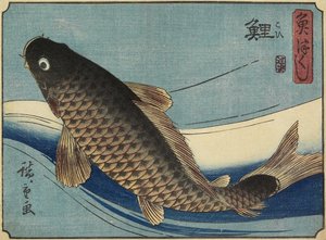 鲤鱼，1830-1844