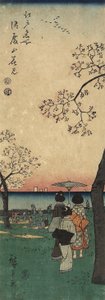 1852年3月在Gotenyama观赏樱花