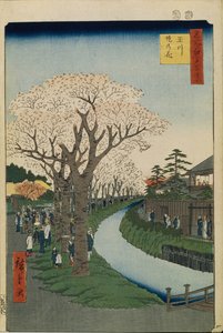 多摩河两岸的樱花1856-1858年的江户百景 作者 歌川宏重