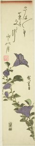 中国钟花 作者 歌川宏重
