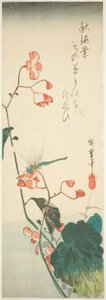 蜻蜓和海棠 作者 歌川宏重