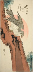 松树上的猎鹰与冉冉升起的太阳 作者 歌川宏重