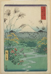1858年4月在凯省O_tsuki的田野