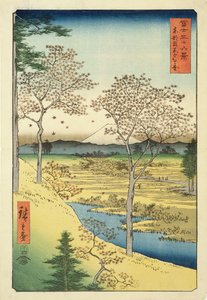 来自富士山（富士山Rokkei&39;）36系列的Yuhi-Ga，Megwo，No.10的富士，（彩色木版画）