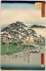 来自东海道的15个系列的藤泽，1855年（彩色木版画）