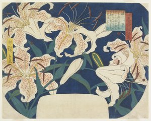 礼物：斑点百合，c。 1844年
