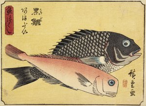 金头和Tilefish，1830-1844
