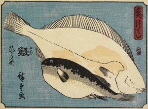 河豚和比目鱼，1830-1844