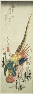 金鸡和蕨类植物 作者 歌川宏重
