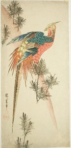 雪中的金鸡和松枝 作者 歌川宏重