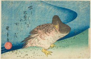 河边的鹅 作者 歌川宏重