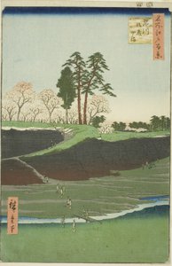 品川御殿山，选自 "名所江户百景 "系列 作者 歌川宏重