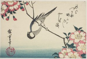 樱花枝上的大山雀 作者 歌川宏重