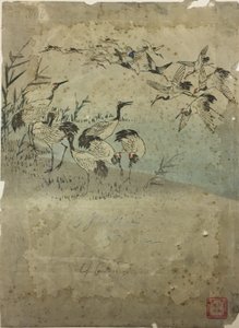 草丛中的苍鹭 作者 歌川宏重